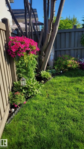 View of yard - 20148 46 Avenue, Edmonton, AB 