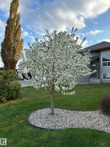 5 Lamplight Drive, Spruce Grove, AB - Outdoor