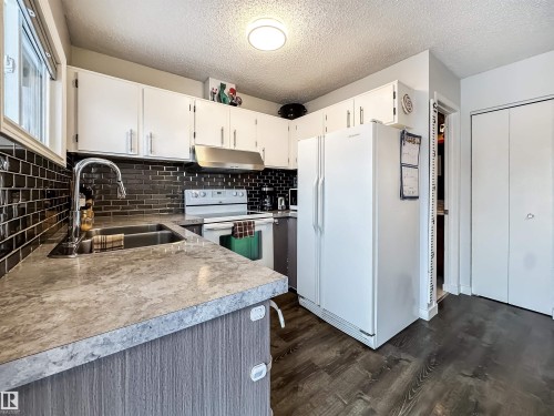 3521 41B Avenue, Edmonton, AB - Indoor Photo Showing Kitchen With Double Sink