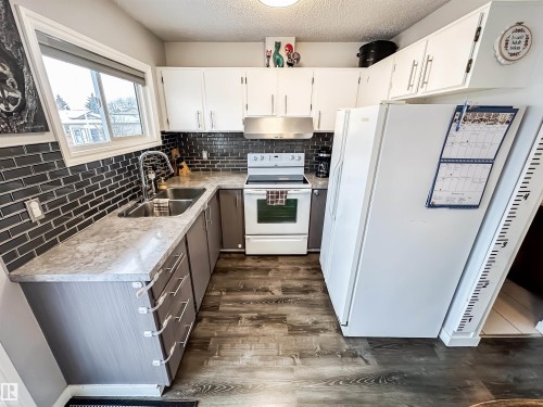 3521 41B Avenue, Edmonton, AB - Indoor Photo Showing Kitchen With Double Sink