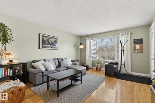 11349 22 Avenue, Edmonton, AB - Indoor Photo Showing Living Room