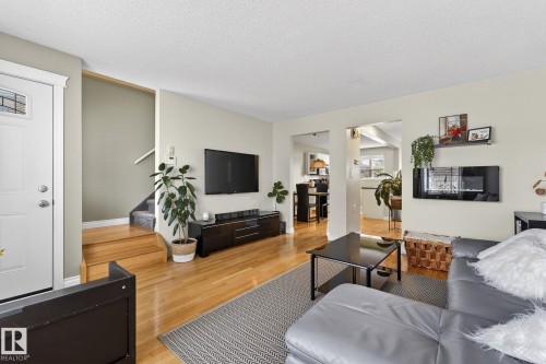 11349 22 Avenue, Edmonton, AB - Indoor Photo Showing Living Room