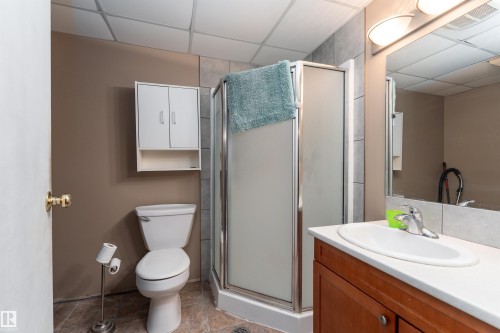 5359 Hill View Crescent, Edmonton, AB - Indoor Photo Showing Bathroom