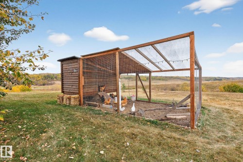 View of chicken coop with a yard - 23509A Twp Road 484, Rural Leduc County, AB - Outdoor With View