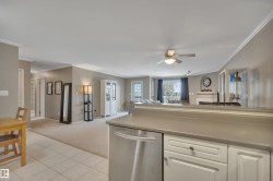 Kitchen featuring dishwasher, open floor plan, ornamental molding, a ceiling fan, and light carpet - 