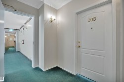 Entrance foyer with carpet floors and crown molding - 