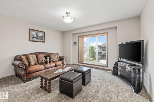 9520 206 Street, Edmonton, AB - Indoor Photo Showing Living Room