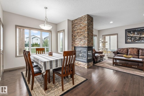 9520 206 Street, Edmonton, AB - Indoor With Fireplace
