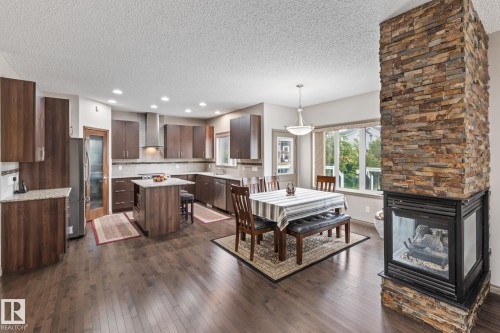 9520 206 Street, Edmonton, AB - Indoor With Fireplace