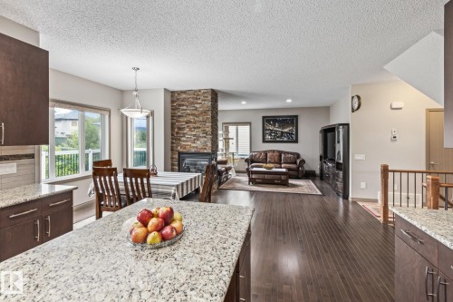 9520 206 Street, Edmonton, AB - Indoor With Fireplace