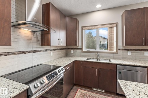 9520 206 Street, Edmonton, AB - Indoor Photo Showing Kitchen With Double Sink