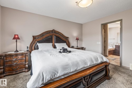 9520 206 Street, Edmonton, AB - Indoor Photo Showing Bedroom
