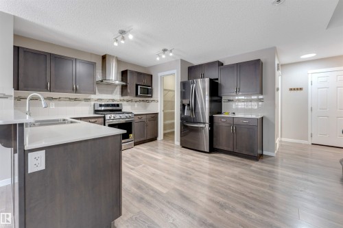 1217 29 Street, Edmonton, AB - Indoor Photo Showing Kitchen With Double Sink With Upgraded Kitchen