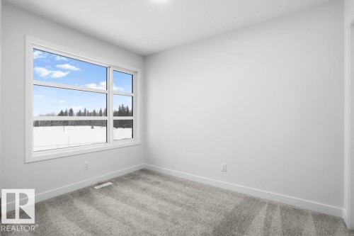 8636 Edgemont Link, Edmonton, AB - Indoor Photo Showing Other Room