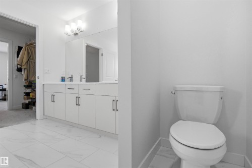 3888 Chrustawka Place, Edmonton, AB - Indoor Photo Showing Bathroom