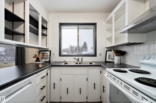 3207 107 Avenue, Edmonton, AB - Indoor Photo Showing Kitchen With Double Sink
