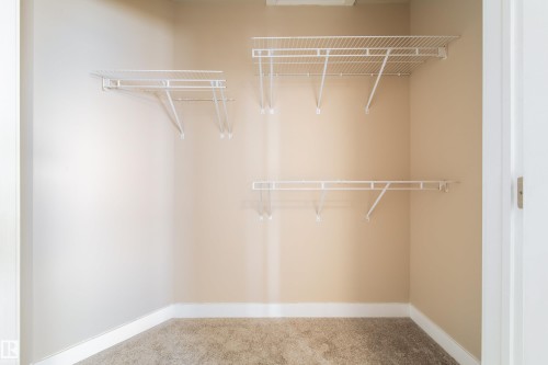 Walk in closet featuring carpet floors - 2919 15 Street, Edmonton, AB - Indoor With Storage