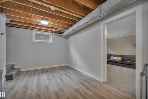 11005 155 Street, Edmonton, AB - Indoor Photo Showing Basement
