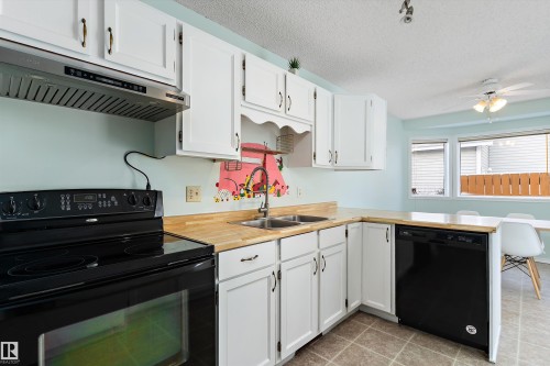 1511 104 Street, Edmonton, AB - Indoor Photo Showing Kitchen With Double Sink