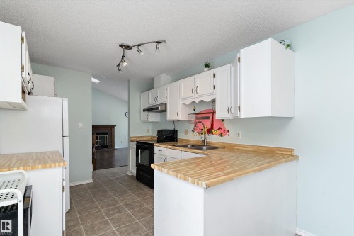 1511 104 Street, Edmonton, AB - Indoor Photo Showing Kitchen With Double Sink