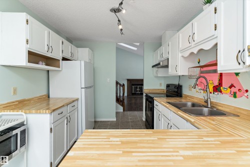 1511 104 Street, Edmonton, AB - Indoor Photo Showing Kitchen With Double Sink