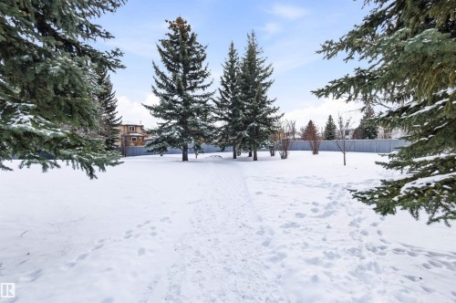 View of yard covered in snow - 326 O'Connor Close, Edmonton, AB - Outdoor