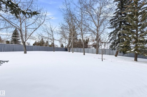 View of yard covered in snow - 326 O'Connor Close, Edmonton, AB - Outdoor