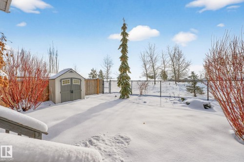 Snowy yard with a shed and a fenced backyard - 21 Dittrich, Fort Saskatchewan, AB - Outdoor