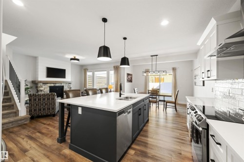 63 Willow Link, Fort Saskatchewan, AB - Indoor Photo Showing Kitchen With Double Sink With Upgraded Kitchen