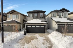 1118 16A Street  Edmonton, AB T6T 2S5
