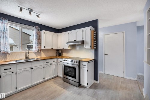 14204 31 Street, Edmonton, AB - Indoor Photo Showing Kitchen With Double Sink