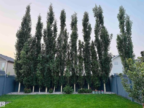 7797 Getty Wynd, Edmonton, AB - Outdoor