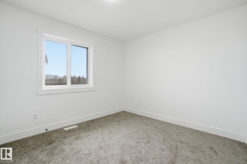 3311 Chernowski Way, Edmonton, AB - Indoor Photo Showing Other Room