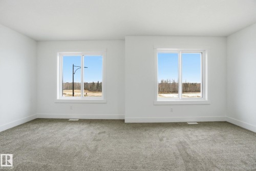 3311 Chernowski Way, Edmonton, AB - Indoor Photo Showing Other Room