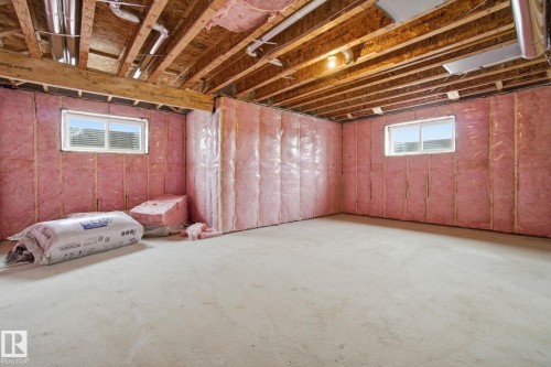 3311 Chernowski Way, Edmonton, AB - Indoor Photo Showing Basement
