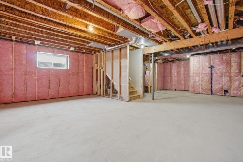 3311 Chernowski Way, Edmonton, AB - Indoor Photo Showing Basement