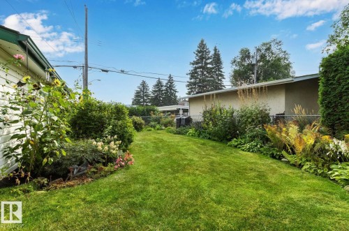 View of yard - 10629 79 Street, Edmonton, AB - Outdoor