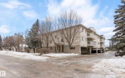 103 12110 119 Ave  Edmonton, AB T5L 5G9