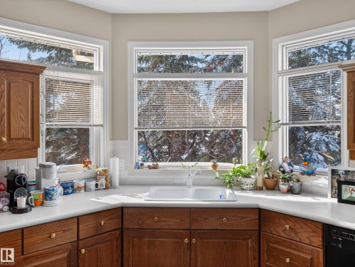 403 Twin Brooks Crescent, Edmonton, AB - Indoor Photo Showing Kitchen With Double Sink
