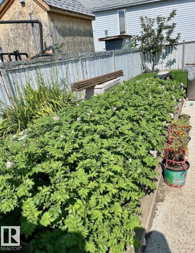 View of yard featuring a FULL garden area - 324 Warwick Road, Edmonton, AB - Outdoor