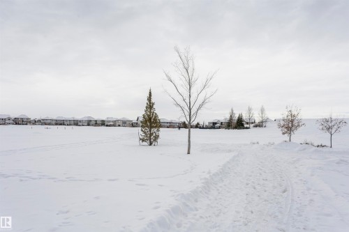 Snowy yard with a residential view - 16420 15 Avenue, Edmonton, AB - Outdoor With View