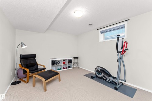 Workout room with light colored carpet and a textured ceiling - 357 Blackburn Drive E, Edmonton, AB - Indoor Photo Showing Gym Room