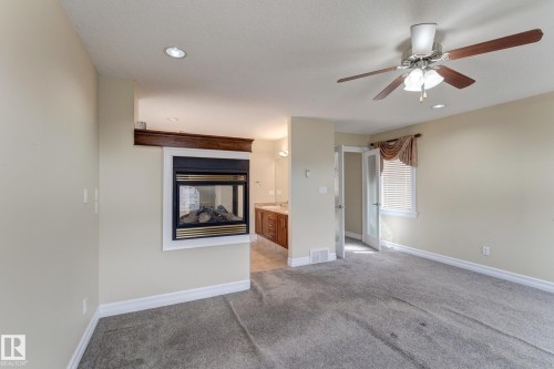 3621 28A Street, Edmonton, AB - Indoor With Fireplace