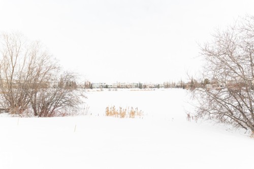 387 Calderon Crescent, Edmonton, AB - Outdoor With View