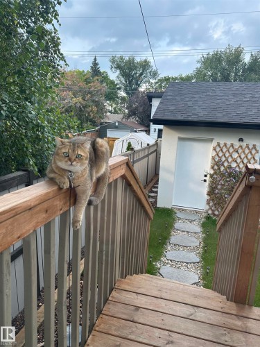 7642 91 Avenue, Edmonton, AB - Outdoor