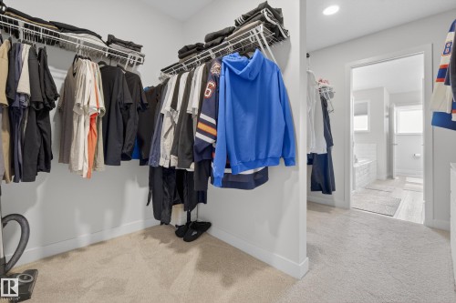 Walk in closet featuring light carpet - 19286 22A Avenue, Edmonton, AB 