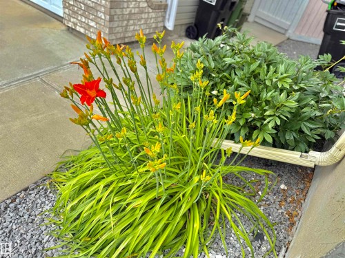 8416 160A Avenue, Edmonton, AB 