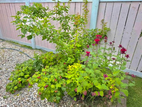 8416 160A Avenue, Edmonton, AB 