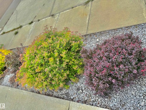 8416 160A Avenue, Edmonton, AB 