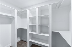 Walk in closet with dark colored carpet - 